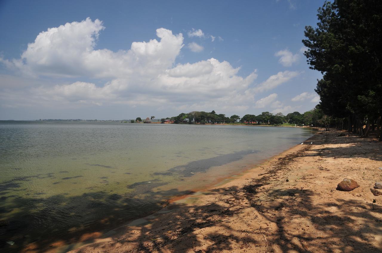 Victoria Lake View Guesthouse & Safaris 恩德培 外观 照片
